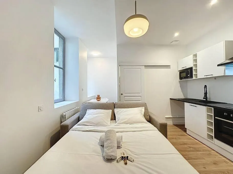 Cosy Studio, Centre Ville Thomassin 1 里昂 公寓